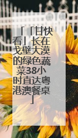 「甘快看」长在戈壁大漠的绿色蔬菜38小时直达粤港澳餐桌