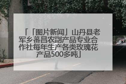 「图片新闻」山丹县老军乡蕃昌农副产品专业合作社每年生产各类玫瑰花产品500多吨