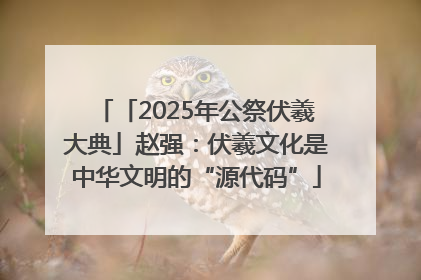「2025年公祭伏羲大典」赵强：伏羲文化是中华文明的“源代码”