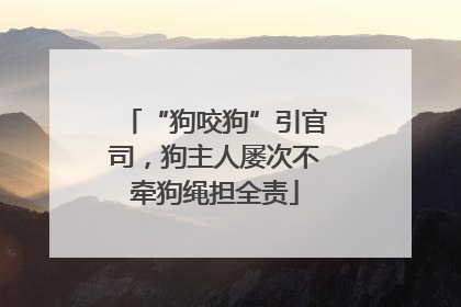 “狗咬狗”引官司，狗主人屡次不牵狗绳担全责