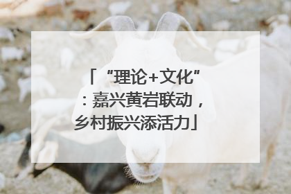 “理论+文化”：嘉兴黄岩联动，乡村振兴添活力