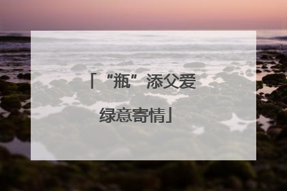 “瓶”添父爱 绿意寄情