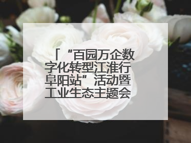 “百园万企数字化转型江淮行阜阳站”活动暨工业生态主题会议成功举办