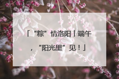 “粽”情洛阳丨端午，“阳光里”见！