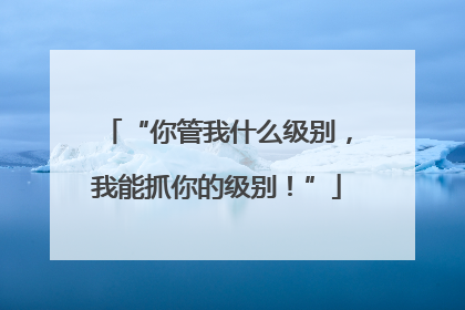 “你管我什么级别，我能抓你的级别！”