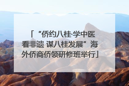 “侨约八桂·学中医 看非遗 谋八桂发展”海外侨商侨领研修班举行