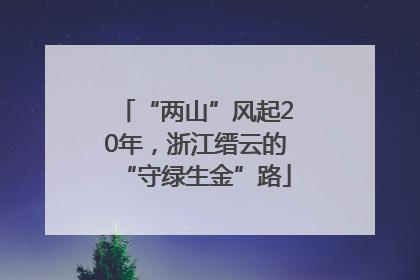 “两山”风起20年，浙江缙云的“守绿生金”路