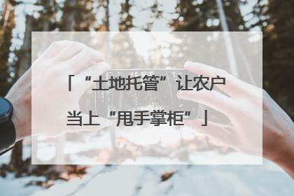 “土地托管”让农户当上“甩手掌柜”