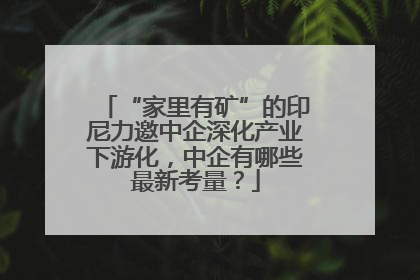 “家里有矿”的印尼力邀中企深化产业下游化，中企有哪些最新考量？