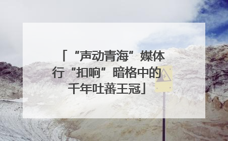 “声动青海”媒体行“扣响”暗格中的千年吐蕃王冠