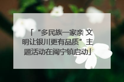 “多民族一家亲 文明让银川更有品质”主题活动在闽宁镇启动