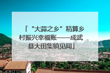 “大蒜之乡”精算乡村振兴幸福账——成武县大田集镇见闻