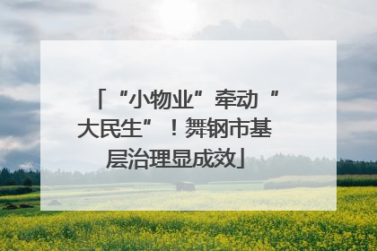 “小物业”牵动“大民生”！舞钢市基层治理显成效