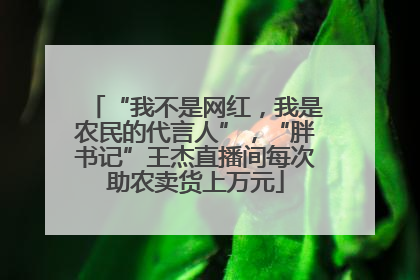 “我不是网红，我是农民的代言人”，“胖书记”王杰直播间每次助农卖货上万元