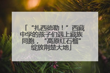 “扎西德勒！”西藏中学的孩子们遇上藏族同胞，“高原红石榴”绽放荆楚大地