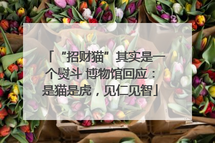 “招财猫”其实是一个熨斗 博物馆回应：是猫是虎，见仁见智