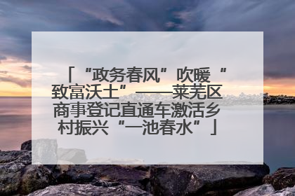 “政务春风”吹暖“致富沃土”——莱芜区商事登记直通车激活乡村振兴“一池春水”