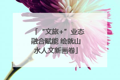 “文旅+”业态融合赋能 绘就山水人文新画卷