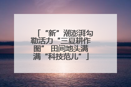 “新”潮澎湃勾勒活力“三夏耕作图” 田间地头满满“科技范儿”