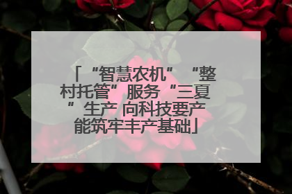 “智慧农机”“整村托管”服务“三夏”生产 向科技要产能筑牢丰产基础