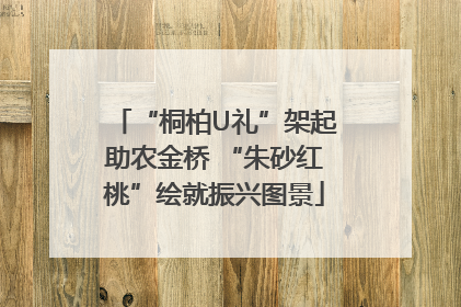 “桐柏U礼”架起助农金桥 “朱砂红桃”绘就振兴图景