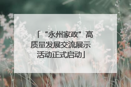 “永州家政”高质量发展交流展示活动正式启动