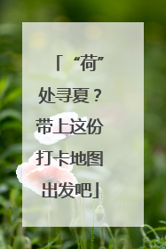“荷”处寻夏？带上这份打卡地图出发吧