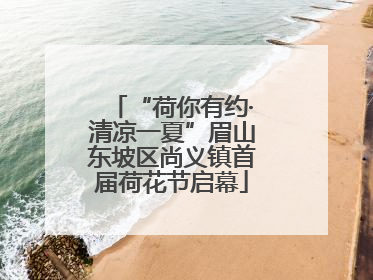 “荷你有约·清凉一夏”眉山东坡区尚义镇首届荷花节启幕