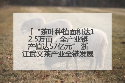 “茶叶种植面积达12.5万亩，全产业链产值达57亿元” 浙江武义茶产业全链发展“加速度”