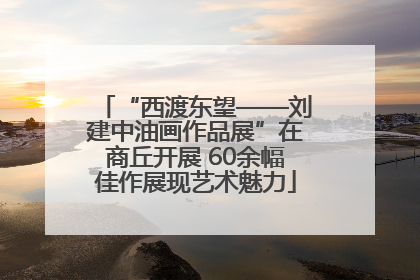 “西渡东望——刘建中油画作品展”在商丘开展 60余幅佳作展现艺术魅力