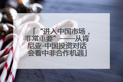“进入中国市场，非常重要”——从肯尼亚-中国投资对话会看中非合作机遇