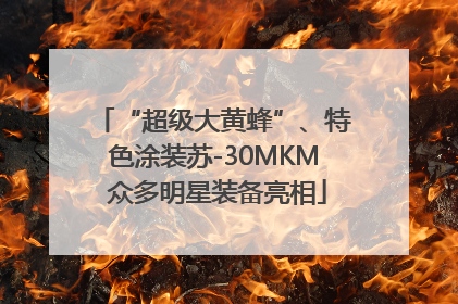 “超级大黄蜂”、特色涂装苏-30MKM 众多明星装备亮相