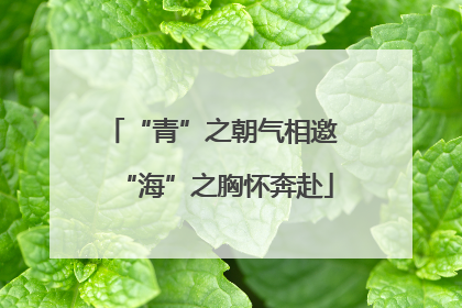 “青”之朝气相邀 “海”之胸怀奔赴