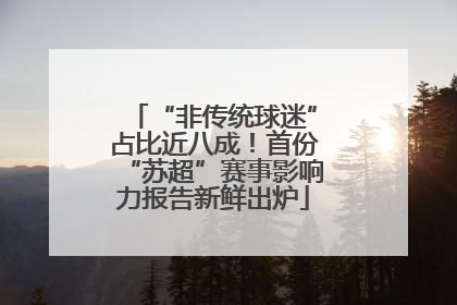 “非传统球迷”占比近八成！首份“苏超”赛事影响力报告新鲜出炉