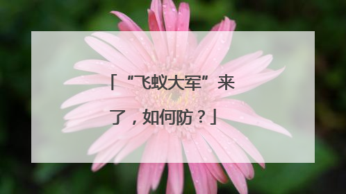 “飞蚁大军”来了，如何防？