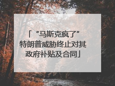 “马斯克疯了” 特朗普威胁终止对其政府补贴及合同