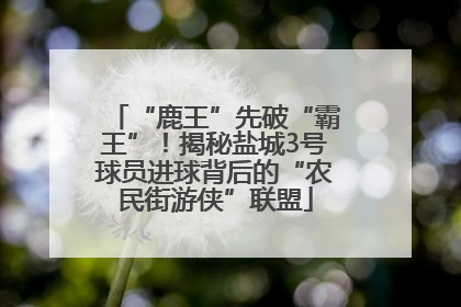 “鹿王”先破“霸王”！揭秘盐城3号球员进球背后的“农民街游侠”联盟
