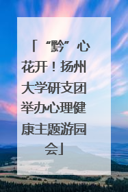 “黔”心花开！扬州大学研支团举办心理健康主题游园会