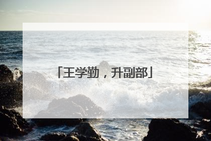 王学勤，升副部