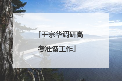 王宗华调研高考准备工作