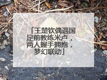 王楚钦偶遇国足前教练米卢，两人握手拥抱，梦幻联动