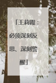 王莉霞：必须深刻反思、深刻警醒