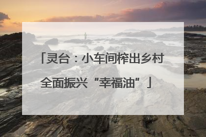 灵台：小车间榨出乡村全面振兴“幸福油”
