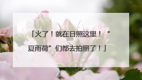 火了！就在日照这里！“夏雨荷”们都去拍照了！
