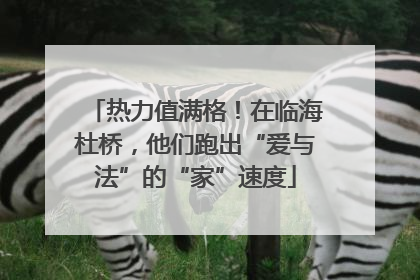 热力值满格！在临海杜桥，他们跑出“爱与法”的“家”速度