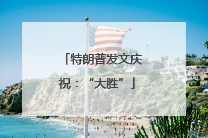 特朗普发文庆祝：“大胜”