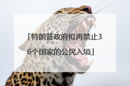 特朗普政府拟再禁止36个国家的公民入境