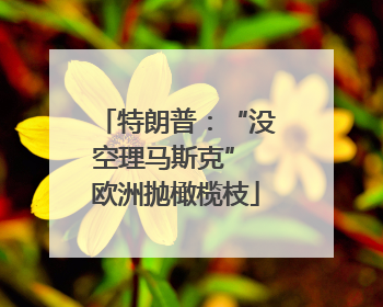 特朗普：“没空理马斯克” 欧洲抛橄榄枝