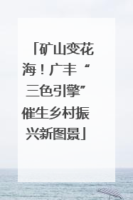 矿山变花海！广丰“三色引擎”催生乡村振兴新图景