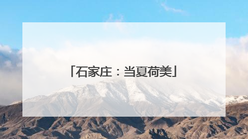石家庄：当夏荷美